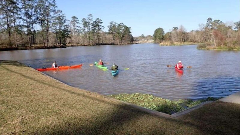 Houston: Luce Bayou Kayaking Tour - The Value of a Guided Kayaking Tour
