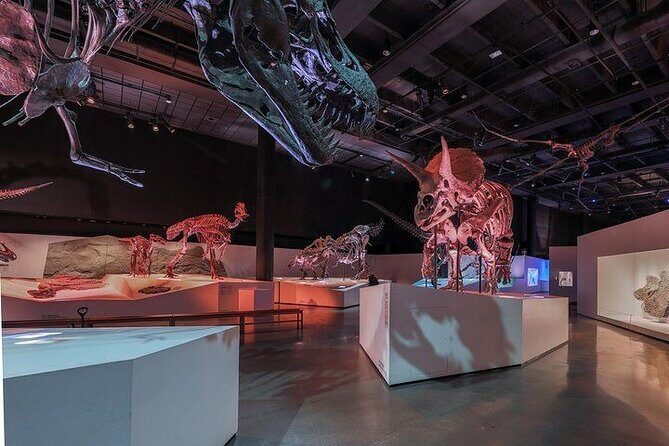 Houston Museum of Natural Science and Cockrell Butterfly Center - Who Will Love This Tour?