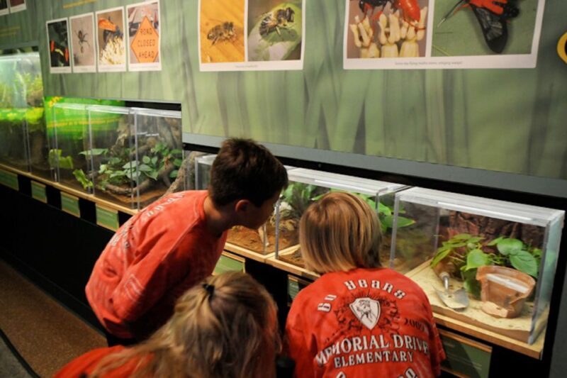 Houston Museum of Natural Science: Cockrell Butterfly Center - Key Points