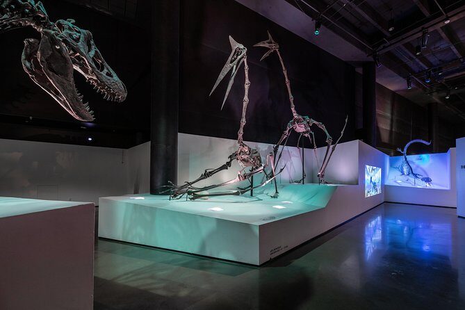 Houston Museum of Natural Science General Admission - What Does the Ticket Include?