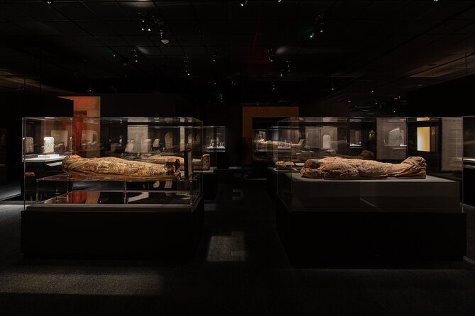 Houston Museum of Natural Science General Admission - What Do Visitors Think?
