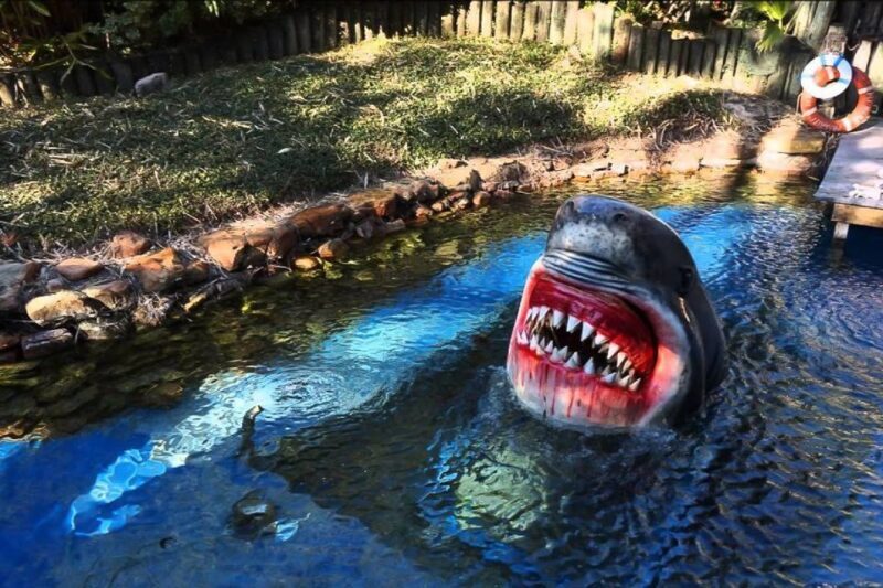 Houston Tour and Aquarium Ticket - Key Points
