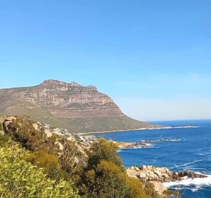 Hout Bay: Seal Island Boat Trip with World of birds visit - Hout Bay: Seal Island Boat Trip with World of Birds visit