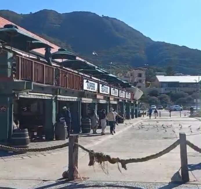 Hout Bay: Seal Island Boat Trip with World of birds visit - Exploring Hout Bay’s Wildlife and Scenery