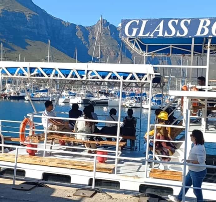 Hout Bay: Seal Island Boat Trip with World of birds visit - What Other Travelers Say