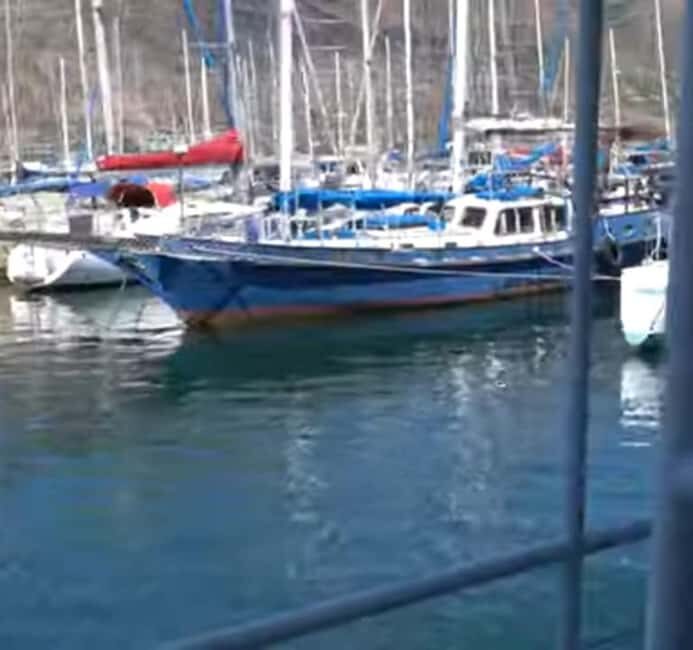 Hout Bay: Seal Island Boat Trip with World of birds visit - The Sum Up: Who Should Consider This Tour?