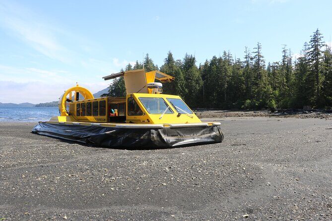 Hovercraft Eco Adventure and Wildlife Viewing - Exploring the Itinerary in Detail
