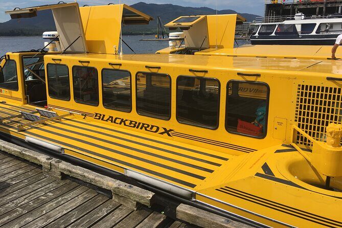 Hovercraft Eco Adventure and Wildlife Viewing - Final Thoughts: Is It Worth It?