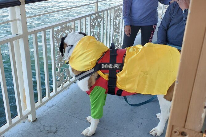 Howl O Ween Doggy Costume Party Cruise - A Water Tour with a Twist: What’s Included and What to Expect