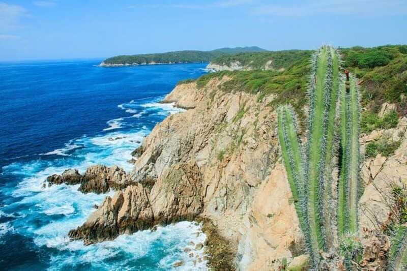 Huatulco: 5-Bay Exclusive Premium Panga Experience - Who Will Love This Tour?