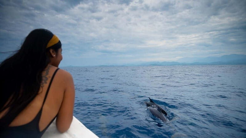 Huatulco: Awakening with Stars Dolphins Boat Cruise - Huatulco: Awakening with Stars Dolphins Boat Cruise – A Deep Dive