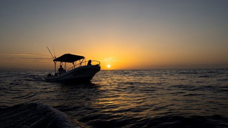 Huatulco: Awakening with Stars Dolphins Boat Cruise - FAQ