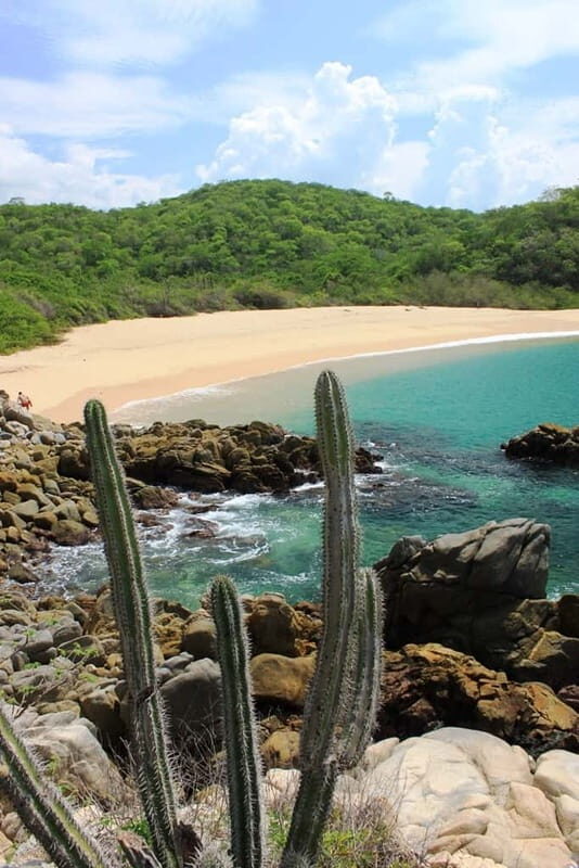Huatulco: Bays of Huatulco boat tour - What Travelers Say