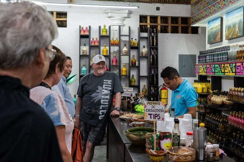 Huatulco City Tour - Who Should Take This Tour?