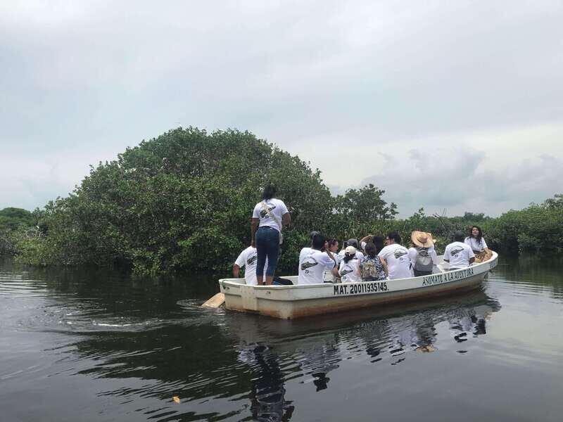 Huatulco: Ecotour with Crocodiles & migrating birds - Authenticity and Reviews