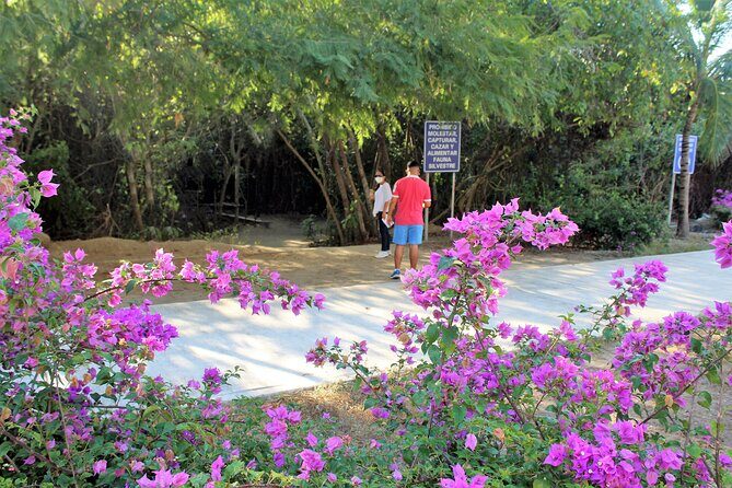 Huatulco hiking, viewpoints and Snorkling - Detailed Review of the Tour Experience