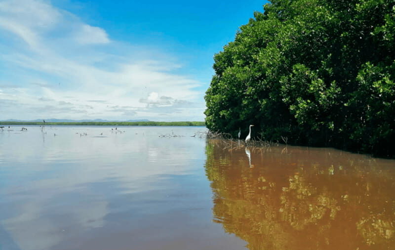 Huatulco: Laguna de Chacahua Exploration - A Detailed Look at the Tour Experience