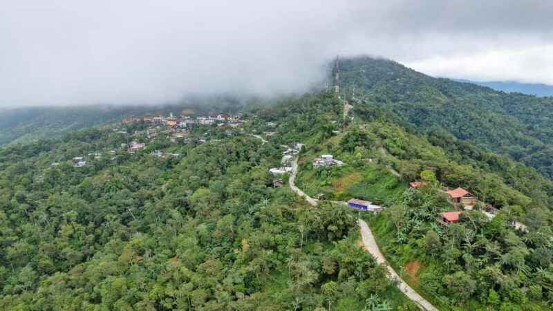 Huatulco: Pluma Hidalgo Coffee Origin and Essence. - Visiting Coffee Plantations