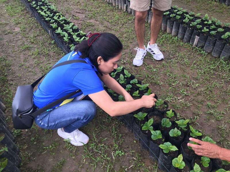 Huatulco: Pluma Hidalgo Coffee Origin and Essence. - Coffee Tasting and the Production Process