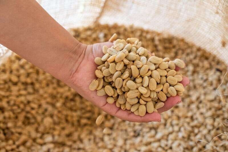 Huatulco: Pluma Hidalgo Coffee Origin and Essence. - Final Thoughts