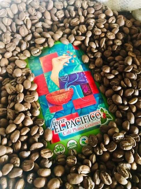 Huatulco: Santa Maria and Pluma Hidalgo Coffee Tour - Exploring the Itinerary in Detail