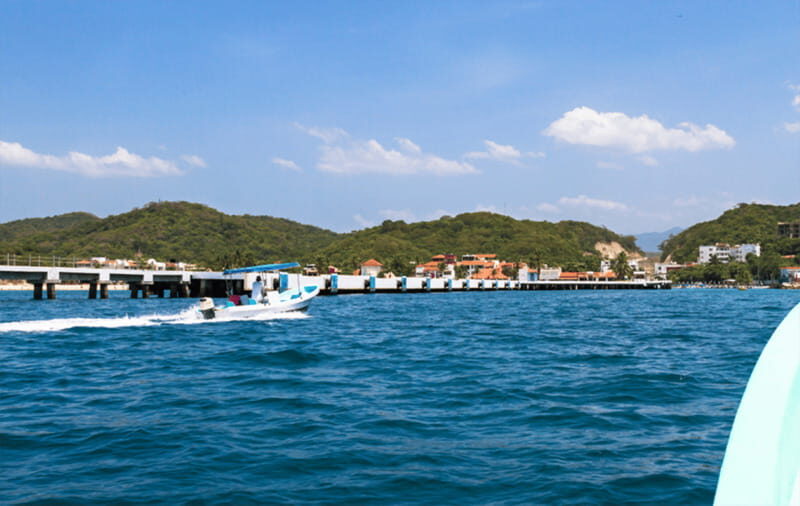 Huatulco: Sunrise Dolphin Watching with Beach Visit - The Itinerary: Step-by-Step