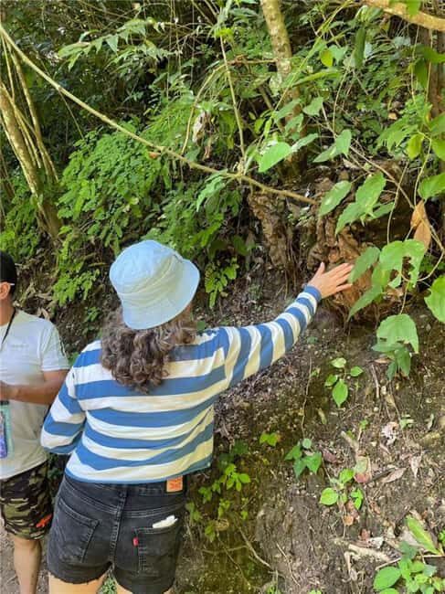 Huatulco: Waterfalls Tour with Buffet Lunch - The Itinerary: What to Expect from Start to Finish