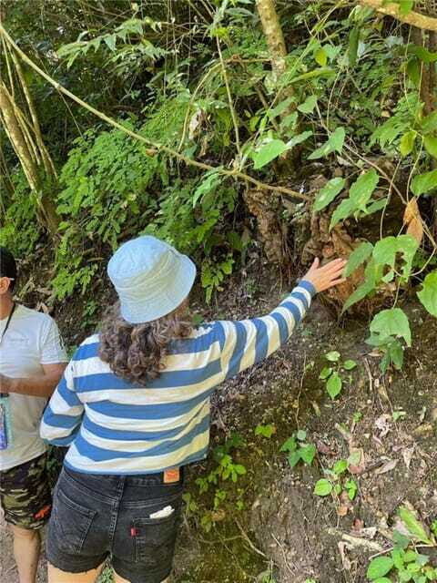 Huatulco: Waterfalls Tour with Buffet Lunch - Final Thoughts