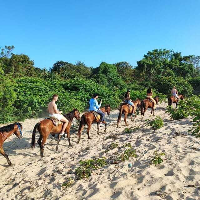 Huatulco:Turtle release,horseback riding and bioluminescence - Practical Tips for Travelers