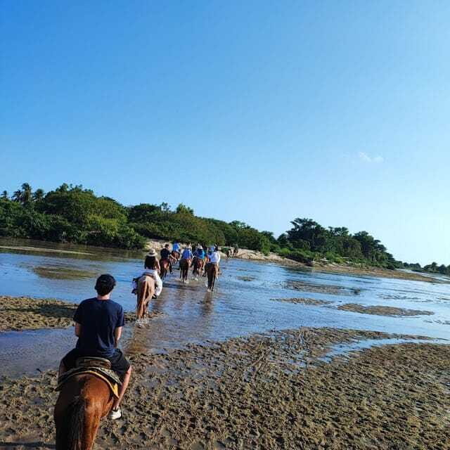 Huatulco:Turtle release,horseback riding and bioluminescence - FAQs