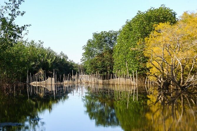 Hue Countryside Tour with Fishing Activities by Net and Trap - A Deep Dive into the Hue Countryside Experience
