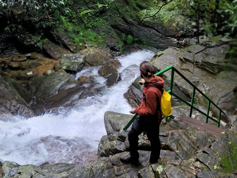 Hue to Da Nang/Hoi An via Bach Ma Trekking - The Itinerary: What to Expect on This Scenic Day