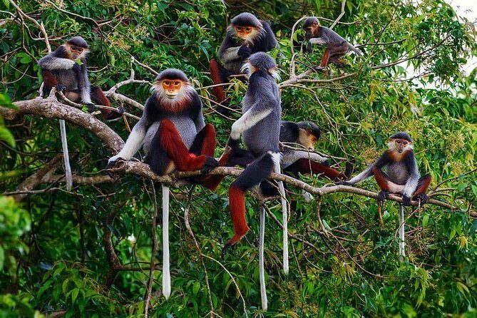 Hue to Hoi An or Hoi An to Hue by car via Hai Van pass, monkey mountain, beaches - Frequently Asked Questions