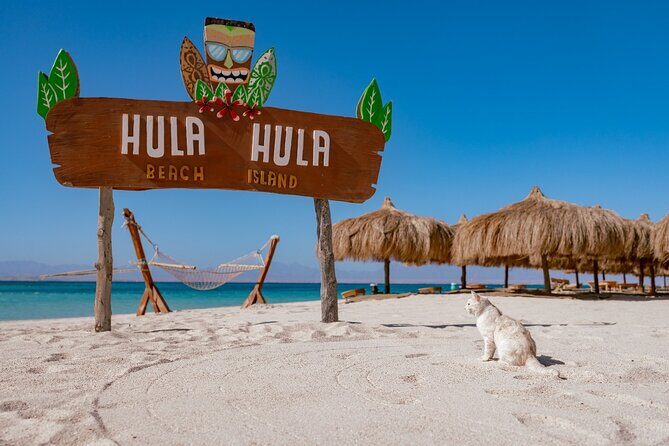 Hula Hula Island and Dolphin House with Snorkeling by Speedboat - Key Points