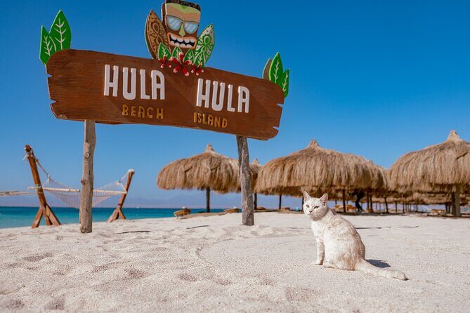 Hula Hula Island Snorkeling Sea Trip and Water Sport - Hurghada - What to Expect from This Hurghada Sea Trip