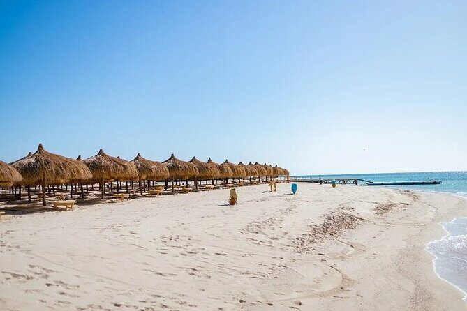 Hula Hula Island Snorkeling Trip Lunch & Water Sports - Hurghada - FAQs