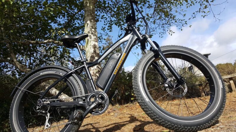 Humboldt: Electric Bike Rentals (4-Hour or Full Day options) - Key Points