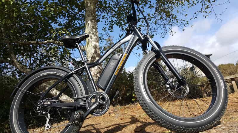 Humboldt: Electric Bike Rentals (4-Hour or Full Day options) - Detailed Breakdown of the Experience
