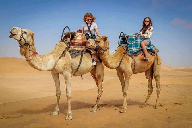Hummer Desert Safari Experience with BBQ Dinner in Dubai - The Sum Up