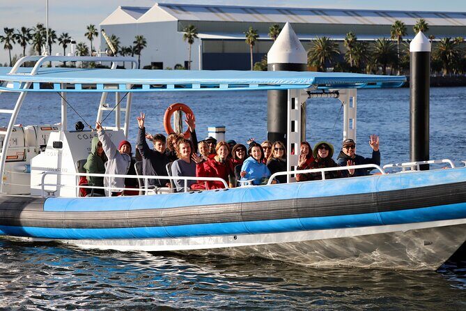 Humpback Whale Encounter Tour from Newcastle - Why This Tour Is Worth Considering