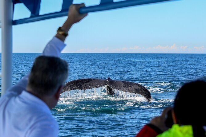Humpback Whale Encounter Tour from Newcastle - Who Should Take This Tour