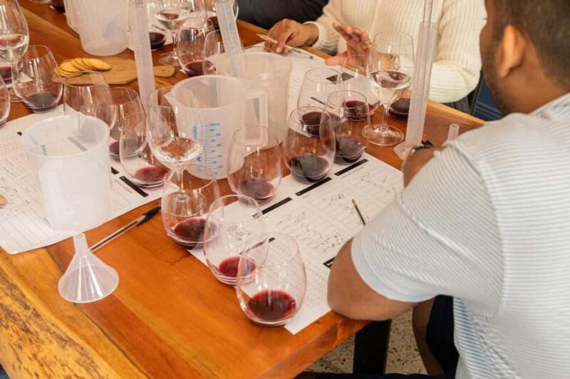 Hunter Valley: A Winemaker for the Day Experience - Practical Tips for Visitors