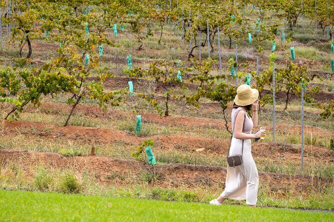Hunter Valley All Inclusive, Wine, Chocolate Tasting and Lunch - FAQ: Common Questions About the Hunter Valley Tour