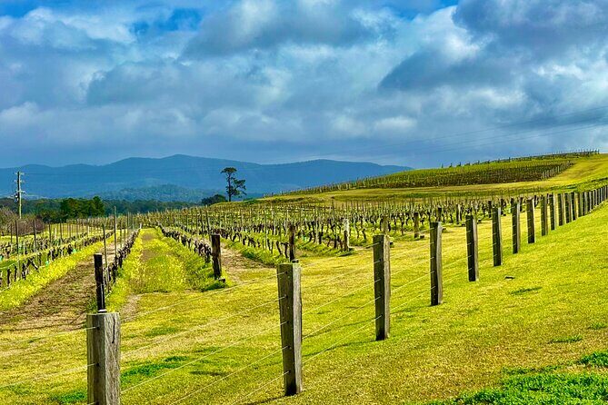 Hunter Valley Escape A Day of Wine Art and Aussie Countryside - Key Points