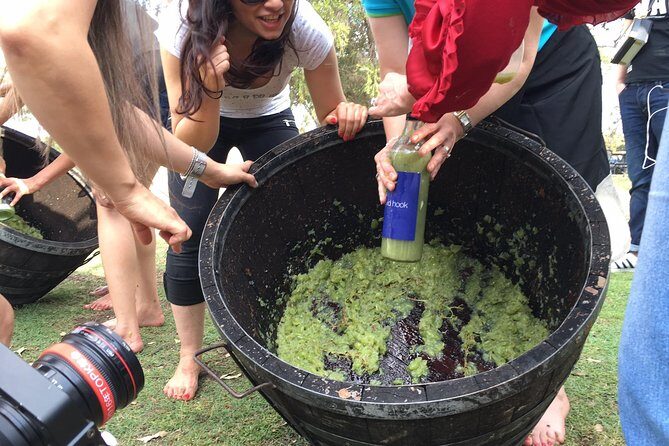 Hunter Valley Grape Stomping - A Complete Breakdown of the Experience