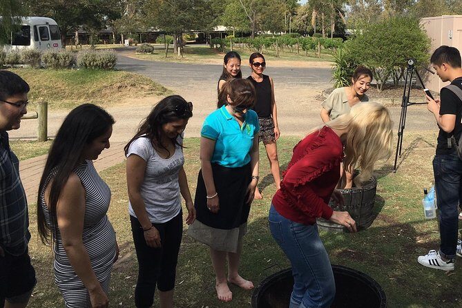 Hunter Valley Grape Stomping - Who Would Love This?