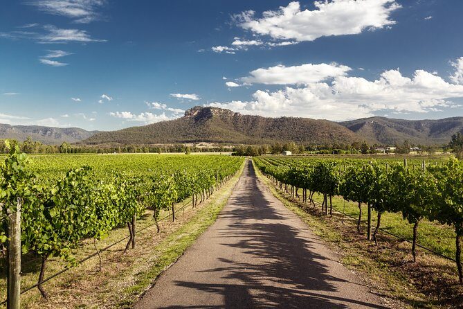 Hunter Valley Highlights Private Wine Tour from Sydney - Who Would Love This Tour?
