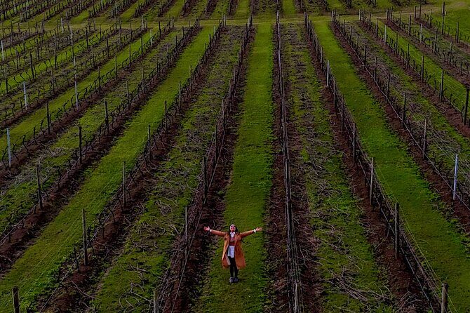 Hunter Valley Highlights Tour Wine Tasting & Small Group + Roos - FAQ