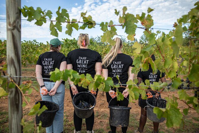 Hunter Valley Premium Tastings with Lunch - FAQ
