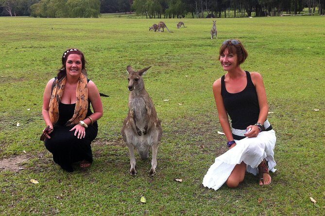 Hunter Valley Private Wine Tasting Tour from Sydney - What Really Makes This Tour Shine
